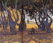 Chinar Paul Signac